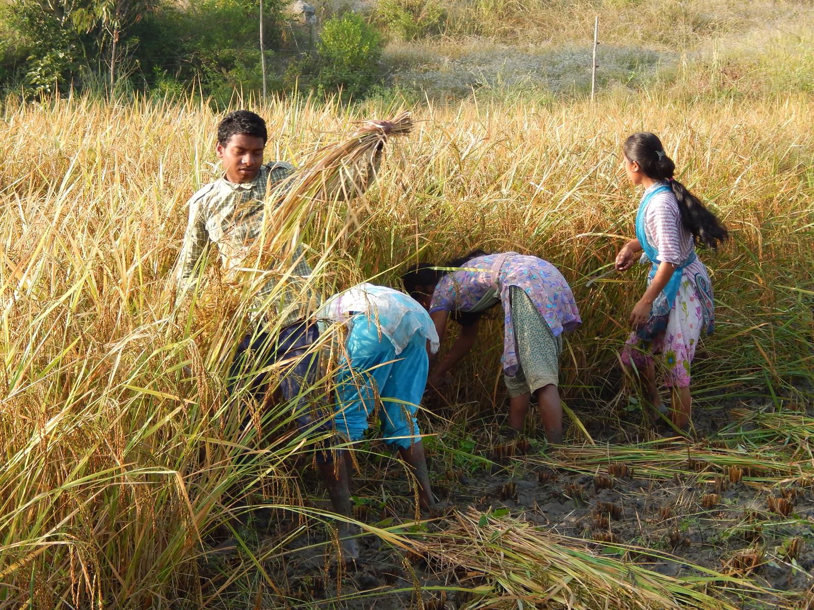 Practical Training 4