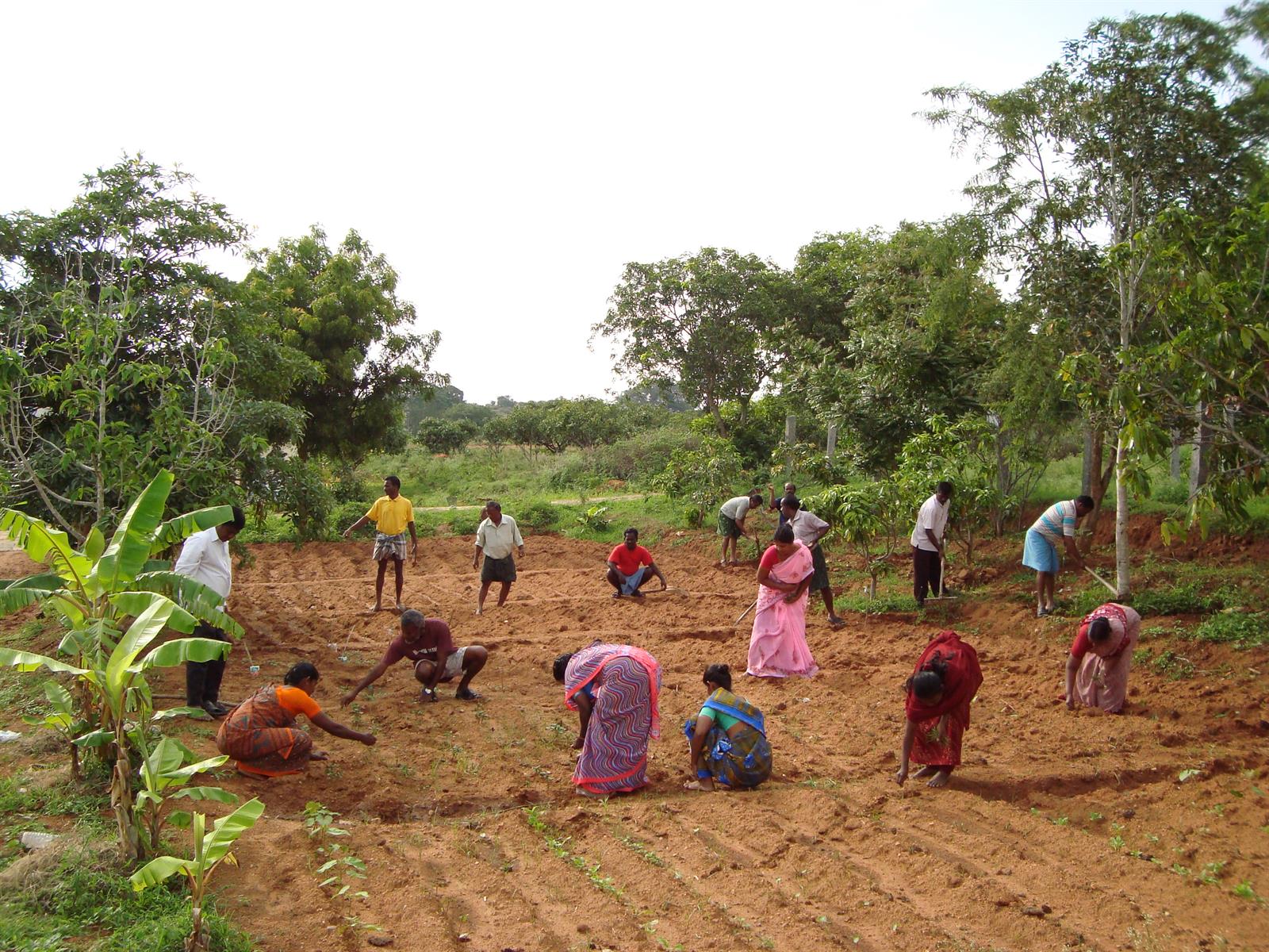 Practical Training 2